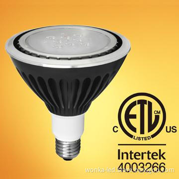 WW PAR 38 for stage lighting or other Residential LED Lighting